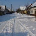 foto vastag 2009