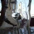 foto vastag 2010