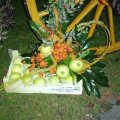 foto vastag 2008