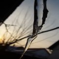 foto vastag 2010