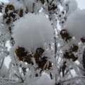 foto vastag 2011