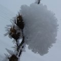 foto vastag 2011