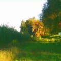foto vastag 2008