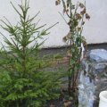 Slike 22. januar fotok