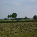 foto vastag 2009