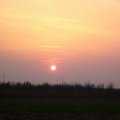 foto vastag 2008