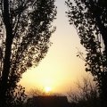 foto vastag 2008
