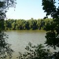 foto vastag 2009